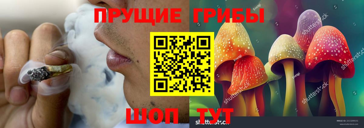 Псилоцибиновые грибы мицелий  цены наркотик  Людиново  Вход с VPN 